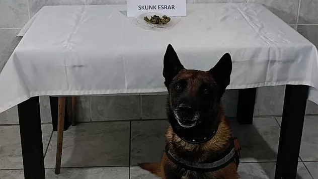 'KONT' DESTEKLİ UYUŞTURUCU DENETİMİ