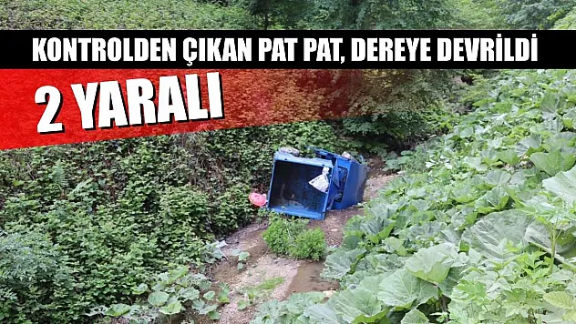 Kontrolden çıkan pat pat, dereye devrildi: 2 yaralı