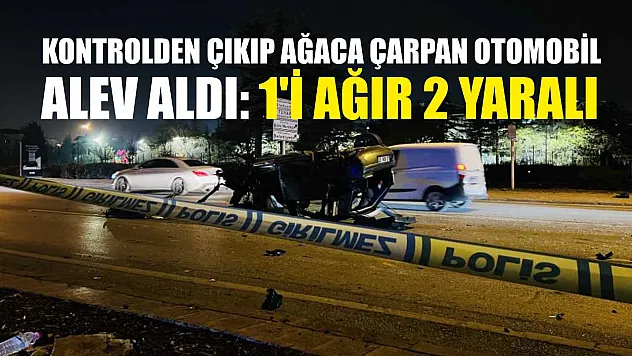 Kontrolden çıkıp ağaca çarpan otomobil alev aldı: 1'i ağır 2 yaralı