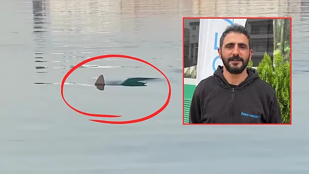 Köpek balığını görüntüleyen amatör balıkçının yaşadığı heyecan kameraya yansıdı