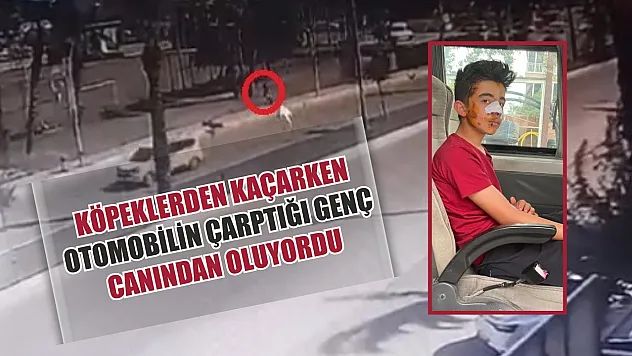 Köpeklerden kaçarken otomobilin çarptığı genç canından oluyordu