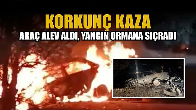 Korkunç kaza: Araç alev aldı, yangın ormana sıçradı