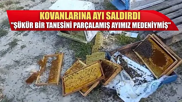 Kovanlarına ayı saldırdı: 'Şükür bir tanesini parçalamış, ayımız medeniymiş'