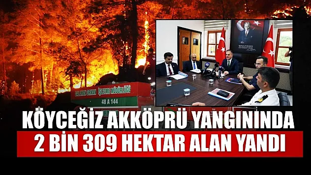 Köyceğiz Akköprü yangınında 2 bin 309 hektar alan yandı