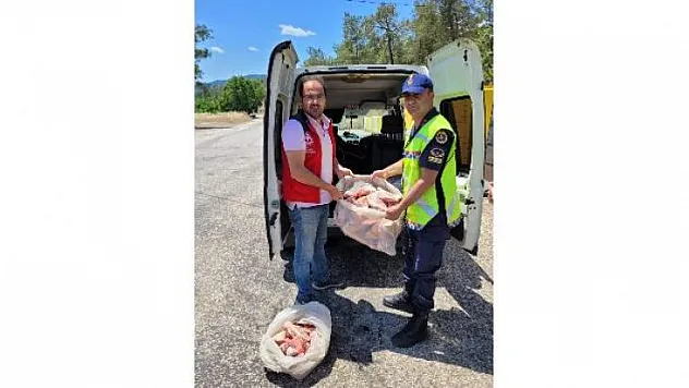 Köyceğiz'de 300 kilo kaçak et ele geçirildi