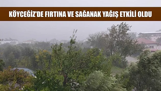Köyceğiz'de fırtına ve sağanak yağış etkili oldu