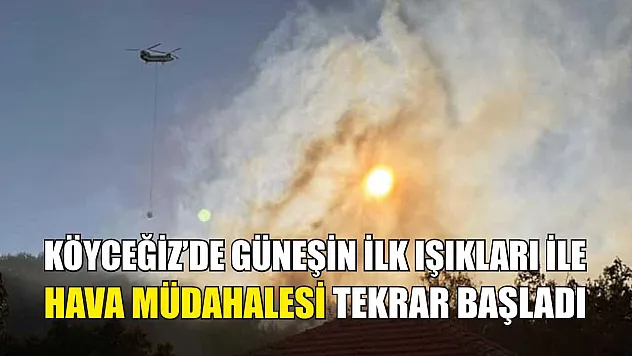 Köyceğiz'de güneşin ilk ışıkları ile hava müdahalesi tekrar başladı