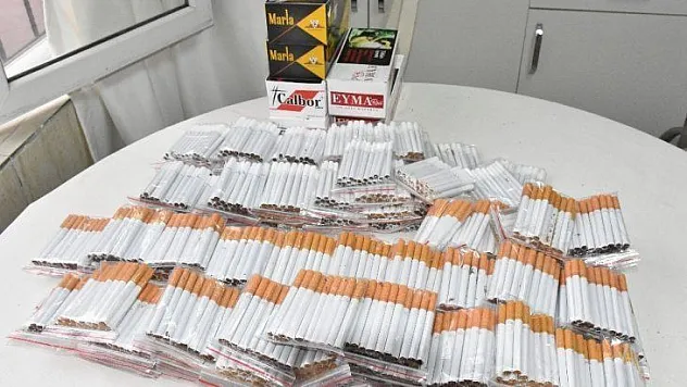 Köyceğiz'de kaçak sigara operasyonu