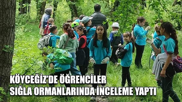 Köyceğiz'de öğrenciler Sığla ormanlarında inceleme yaptı