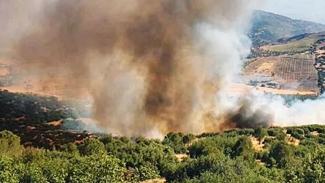 Köyceğiz'de orman yangını başladı