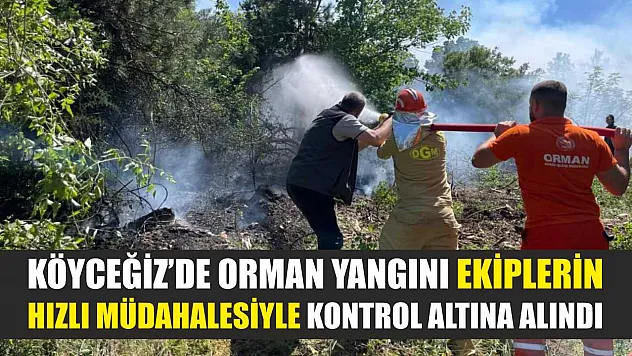 Köyceğiz'de orman yangını ekiplerin hızlı müdahalesiyle kontrol altına alındı