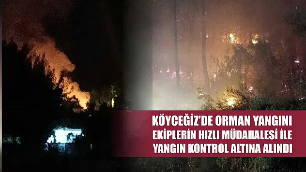 Köyceğiz'de Orman yangını, ekiplerin hızlı müdahalesi ile yangın kontrol altına alındı