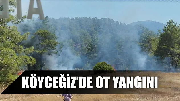 Köyceğiz'de ot yangını