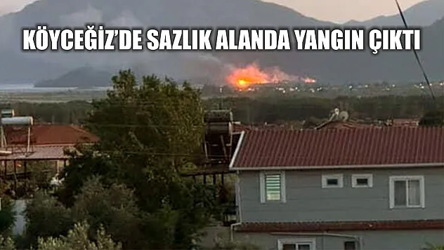 Köyceğiz'de sazlık alanda yangın çıktı
