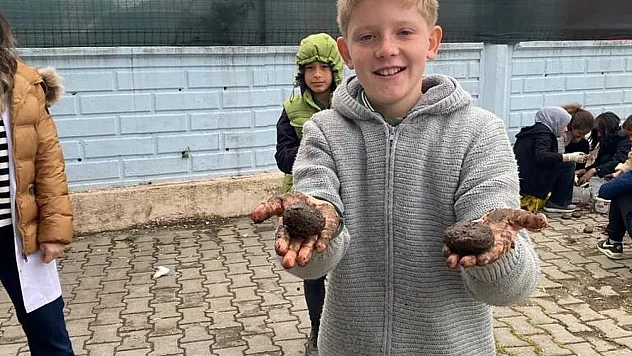 Tohum bombaları toprakla buluştu