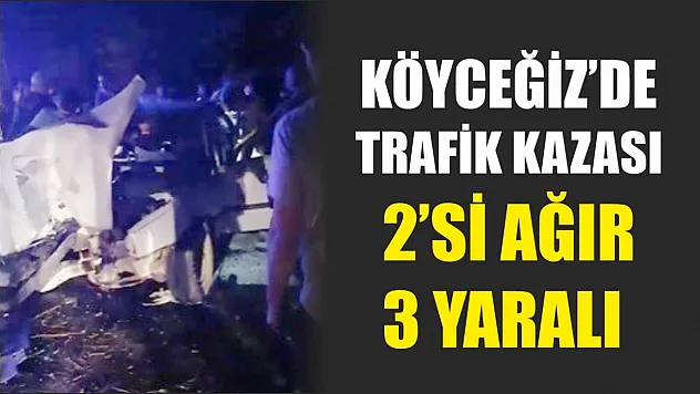 Köyceğiz'de Trafik Kazası: 2'si Ağır 3 Yaralı