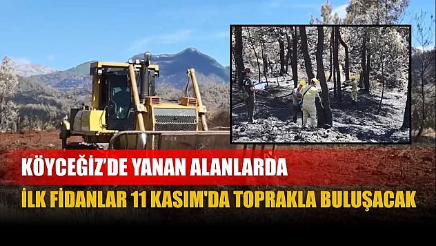 Köyceğiz'de yanan alanlarda ilk fidanlar 11 Kasım'da toprakla buluşacak