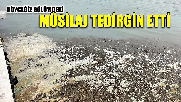 Köyceğiz Gölü'ndeki müsilaj tedirgin etti