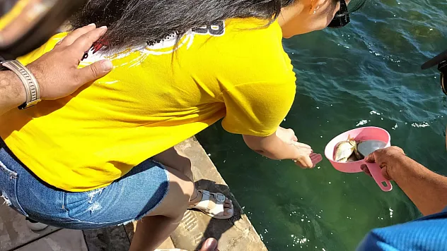 Köyceğiz Gölü'ne yavru balık bırakıldı