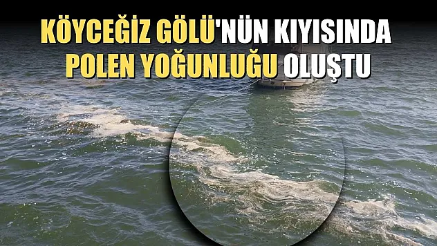 Köyceğiz Gölü'nün kıyısında polen yoğunluğu oluştu
