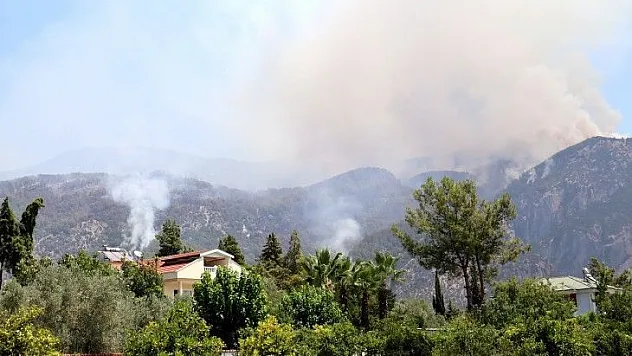 Köyceğiz orman yangını devam ediyor