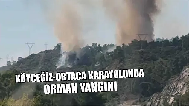 Köyceğiz-Ortaca karayolunda orman yangını