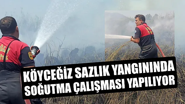 Köyceğiz sazlık yangınında soğutma çalışması yapılıyor