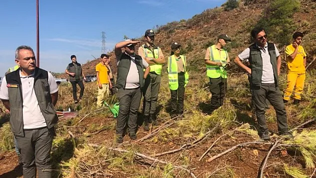 KÖYCEĞİZ VE DALAMAN ORMAN İŞLETMELERİNİN SİLVİKÜLTÜR TATBİKATI YAPILDI