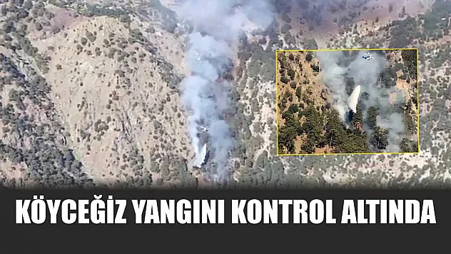 Köyceğiz yangını kontrol altında