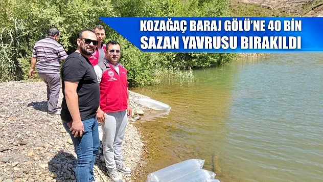 Kozağaç Baraj Gölü'ne 40 bin sazan yavrusu bırakıldı