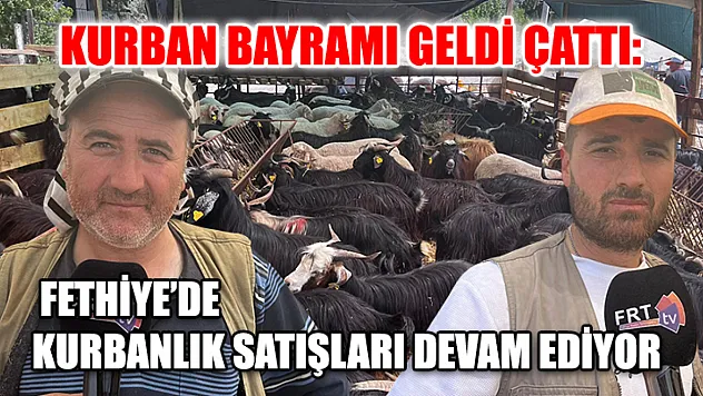 Kurban Bayramı geldi çattı: Fethiye'de kurbanlık satışları devam ediyor