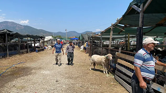 Kurban pazarında yaşanan yoğunluk dikkat çekti