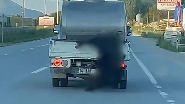 Kurbanlığı araçtan sarkıtıp kilometrelerce sürükledi