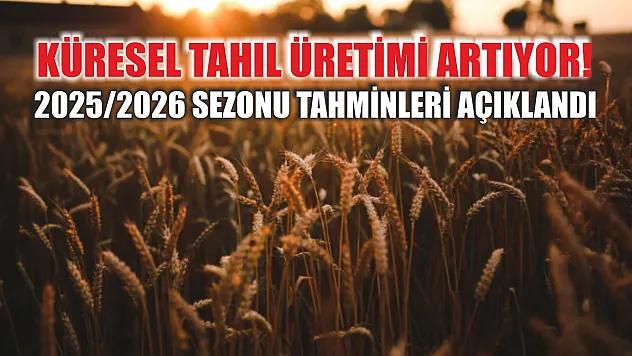 Küresel tahıl üretimi artıyor! 2025/2026 sezonu tahminleri açıklandı