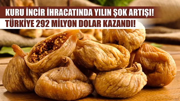 Kuru incir ihracatında yılın şok artışı! Türkiye 292 milyon dolar kazandı!