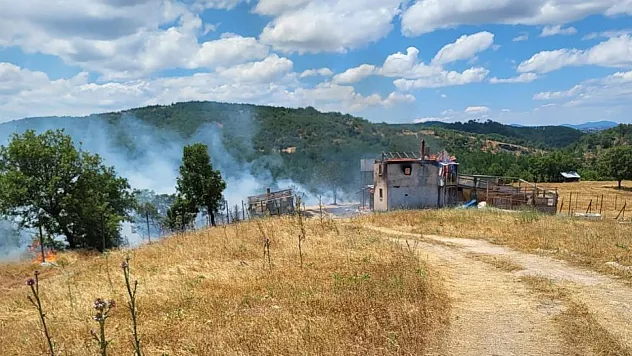 Kütahya'da ev yangını ormana sıçradı, 3 hektar alan zarar gördü