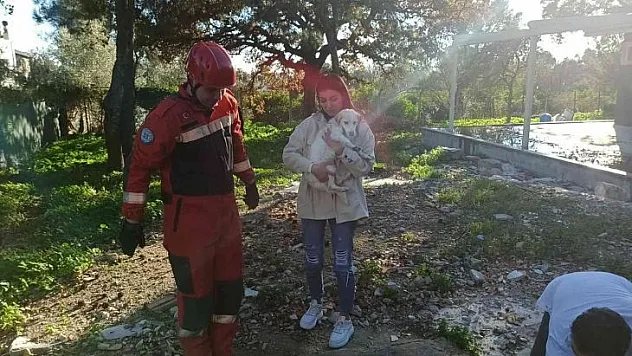 Kuyuya düşen köpek için seferber oldular