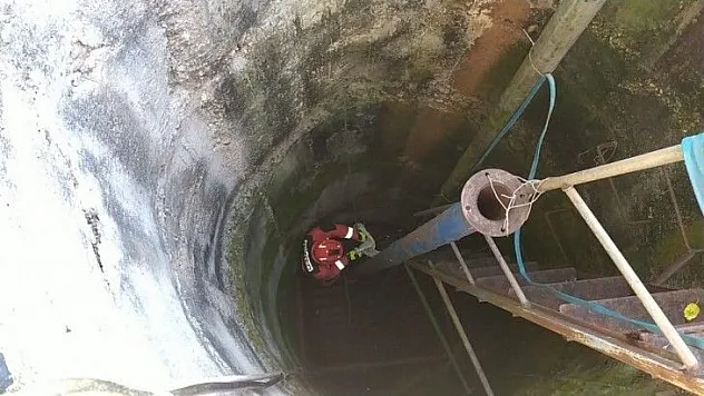 Kuyuya düşen yavru köpeği itfaiye kurtardı