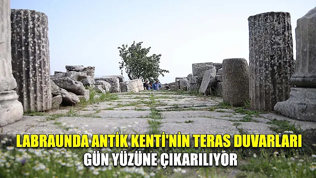 Labraunda Antik Kenti'nin teras duvarları gün yüzüne çıkarılıyor