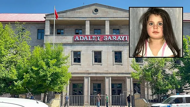 Leyla Aydemir davasında karar: Amcaya müebbet, 6 sanığa beraat