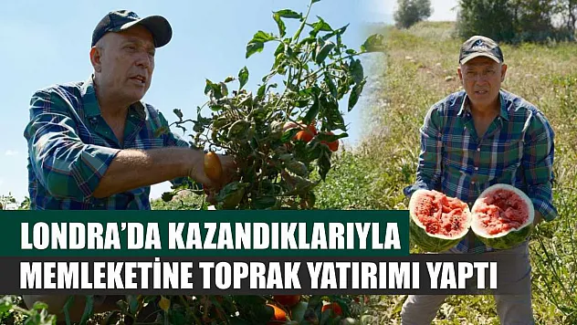 Londra'da kazandıklarıyla memleketine toprak yatırımı yaptı