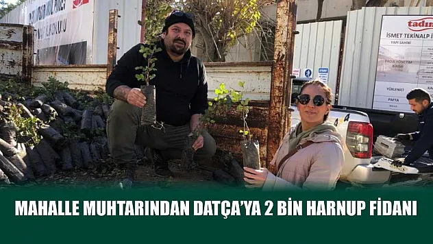 Mahalle muhtarından Datça'ya 2 bin harnup fidanı