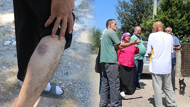 Mahallede 'Gulyabani' nöbeti: Evleri taşlayıp lazer tutan şahıs mahalleye aylardır uyku uyutmuyor