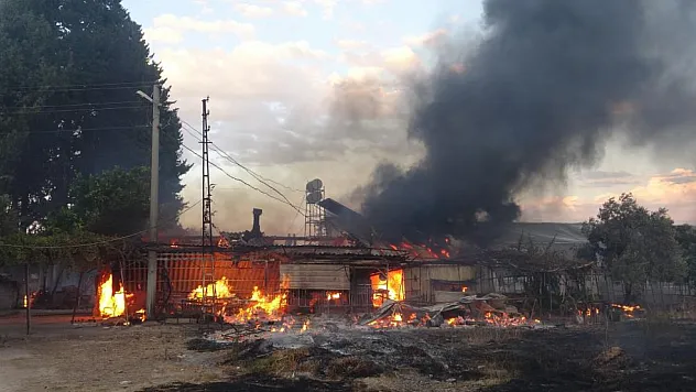 Mahalledeki yangın 80'lik çiftin evini ve hatıralarını yaktı