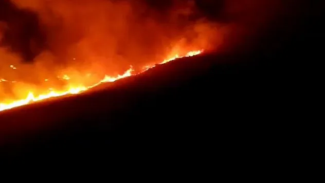 Makilik alanda yangın çıktı