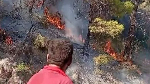 Manavgat'ta orman yangını