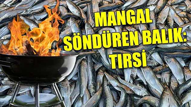 Mangal söndüren balık: Tırsi