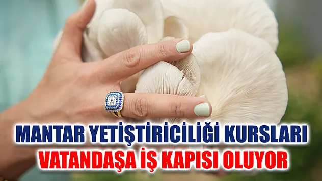 Mantar yetiştiriciliği kursları vatandaşa iş kapısı oluyor