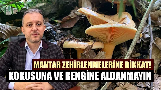 Mantar zehirlenmelerine dikkat! Kokusuna ve rengine aldanmayın
