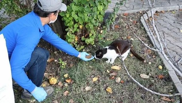 Marmaris Belediyesi sevimli dostları unutmadı